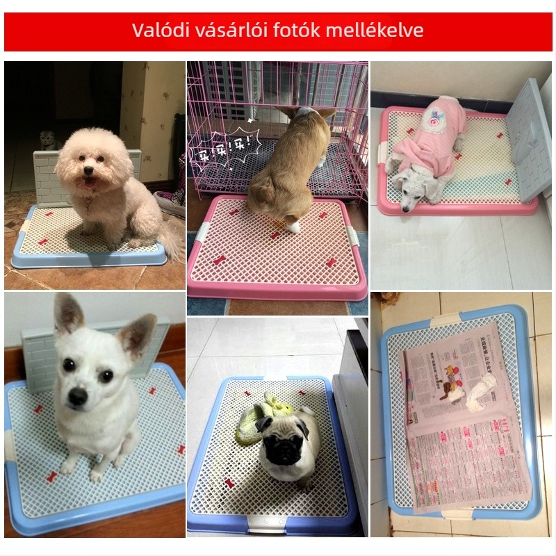 Falrácsos kutya-toalett a vizeletfröccsenés megelőzésére, Teddy/Bichon fajtájú hím kutyáknak, csöpögésmentes háziállat-kiegészítő