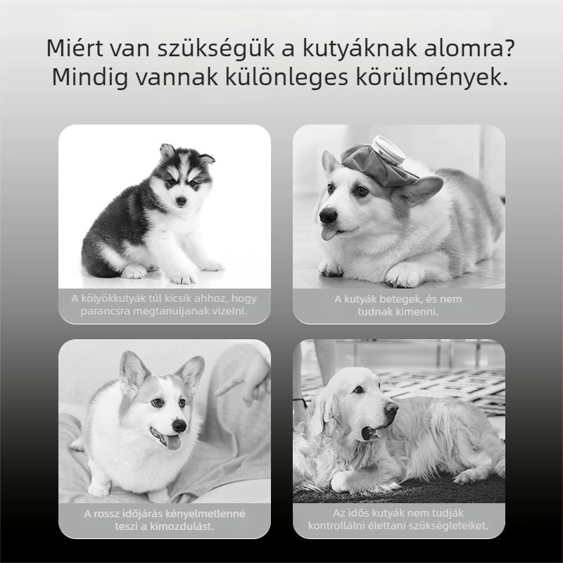 Kutyák és macskák számára készült alom, alacsony porozású, dezodoráló és tömbösödő hatással