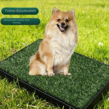 Szekrényes típusú kutya toalett, műanyagból, beltéri használatra (Brand: Nothing; Anyag: Műanyag; Importált: Nem; Engedélyezett magánmárka: Nem)