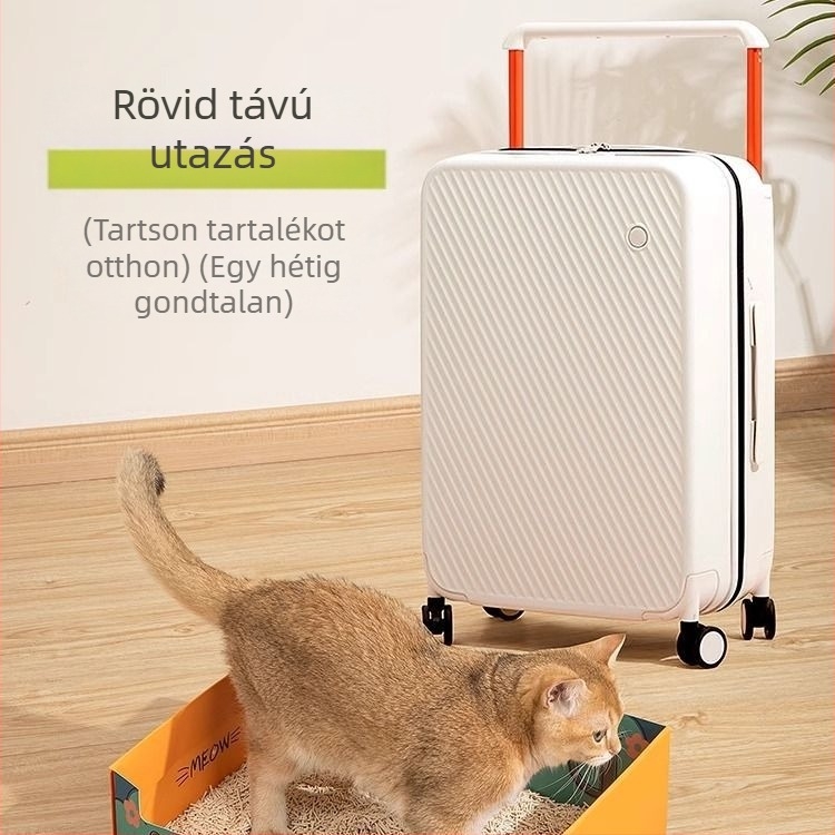Egyszer használatos összecsukható papírból készült macskaalomtál, utazáshoz hordozható