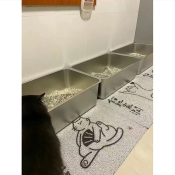 Rozsdamentes acél macskatál a Maine Coon macskáknak, alkalmas állateledel-üzleteknek