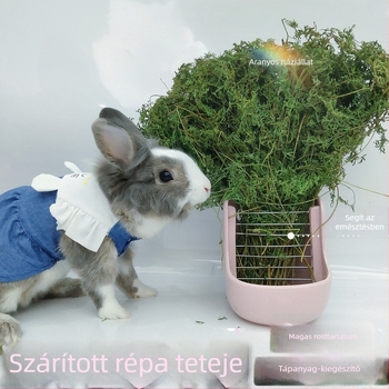 Szárított sárgarépa fürtök – moláris nass nyulaknak, csincsilláknak és tengerimalacoknak, szár- és levél etetéssel (Anyag: Egyéb; Eredet: Részletek szerint; Importálás: Nem; Márka: Egyéb)