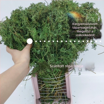 Szárított sárgarépa fürtök – moláris nass nyulaknak, csincsilláknak és tengerimalacoknak, szár- és levél etetéssel (Anyag: Egyéb; Eredet: Részletek szerint; Importálás: Nem; Márka: Egyéb)