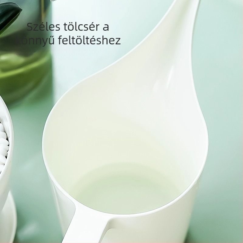 Otthoni öntöző kanna hosszú csővel, hegyes kifolyóval és fogantyúval, PP anyagból, kapacitása 1, szukkulensekhez