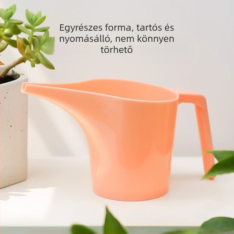 Otthoni öntöző kanna hosszú csővel, hegyes kifolyóval és fogantyúval, PP anyagból, kapacitása 1, szukkulensekhez