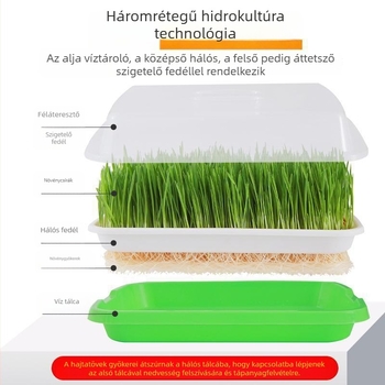 PP anyagú hidropóniás ültetőedény babcsíra csíráztatására, szabályozható vízkiáramlás, rögzített fúvóka