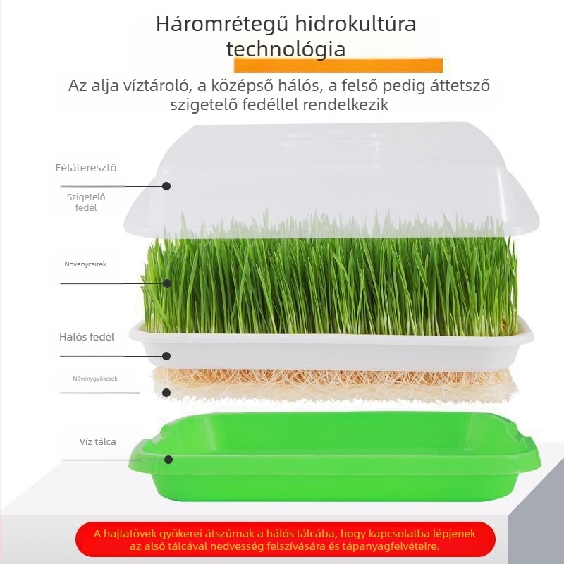 PP anyagú hidropóniás ültetőedény babcsíra csíráztatására, szabályozható vízkiáramlás, rögzített fúvóka