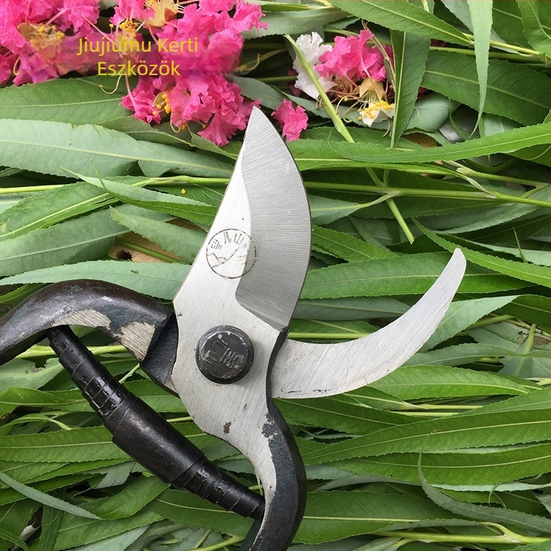 Jiujiumu régi kovácsolt gyümölcság-vágó olló, csőr alakú penge, 65Mn acél, penge hossza 45, tömege 240