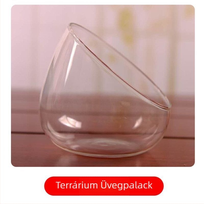 Mikro táj üvegváza mohával és sukulentákkal — magas boroszilikát üveg; Xuanyi Glass márka; Importált: Nem; Asztali kiállítás; Nem ajándék