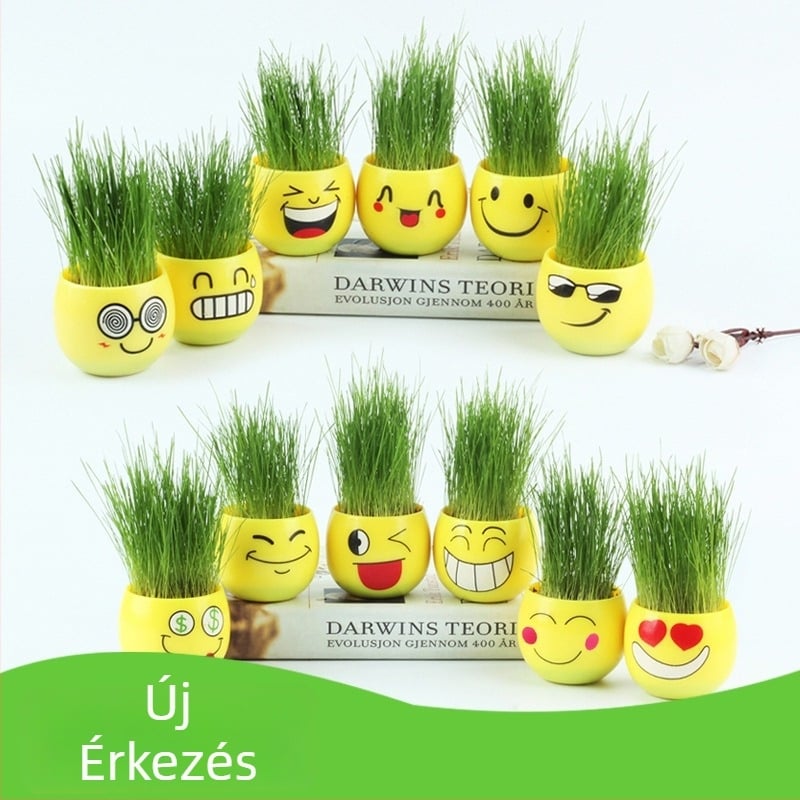 DIY fűfej porcelán mini cserepessel - mikrotáj dekorációs játék, ajándék