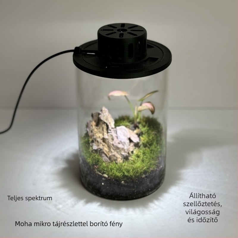 Moha növény világítás - USB-s működés, üveg környezetbarát palack, mini tájkép világító lámpa akváriumokhoz és vízi növényekhez
