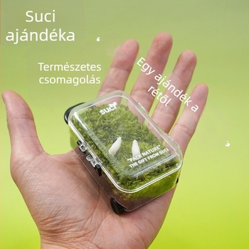 Moha Mikrolándkép Öko Üveg – Könnyen Karbantartható Zöld Növényes Doboz Üzleti Ajándékokhoz, Import Nélküli