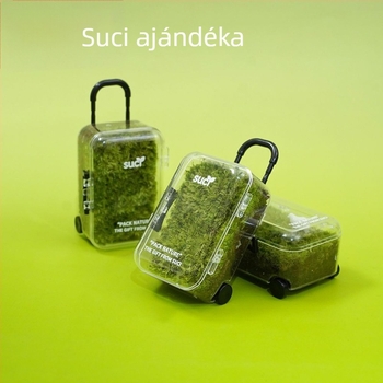 Moha Mikrolándkép Öko Üveg – Könnyen Karbantartható Zöld Növényes Doboz Üzleti Ajándékokhoz, Import Nélküli