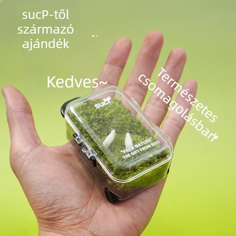 Moha Mikrolándkép Öko Üveg – Könnyen Karbantartható Zöld Növényes Doboz Üzleti Ajándékokhoz, Import Nélküli