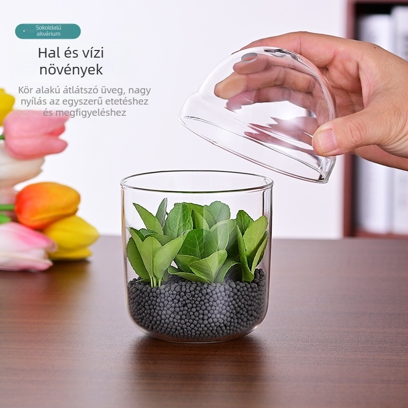Haomeng Magas boroszilikát üvegváza mikro táj hidroponikához szukkulensekkel és díszhalakkal — Anyag: boroszilíkat üveg; Csomagolás: karton; Kijelző: kiállítás; Ajándék: Nem