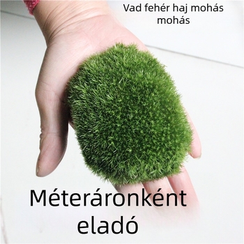 Moha mini táj DIY díszítésekkel — Ye Zun Crafts, Anyag: növény, Dobozos csomagolás