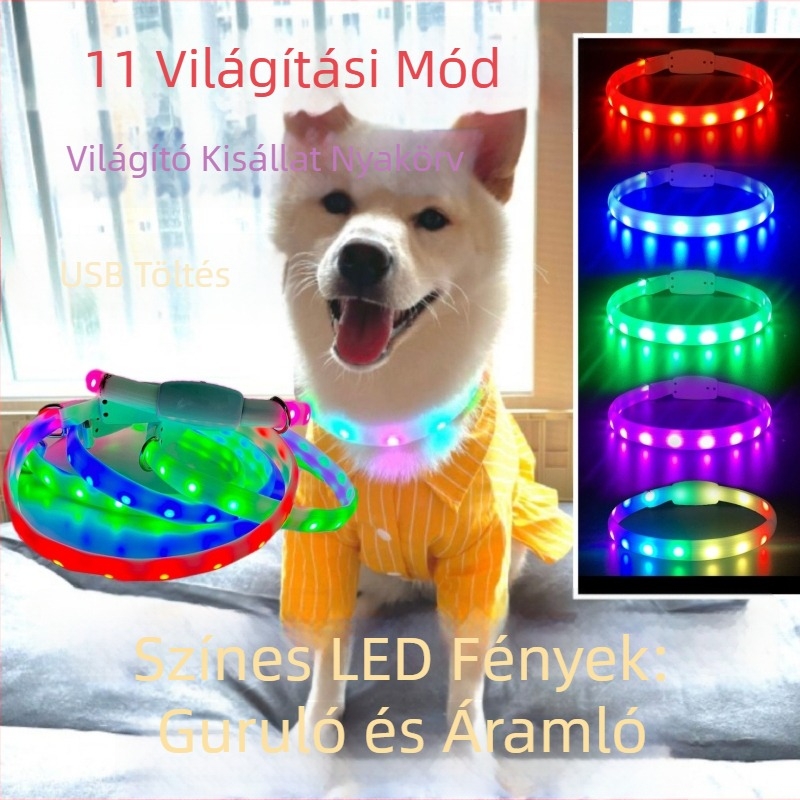 LED világító kutyanyakörv, újratölthető, éjszakai biztonság és az elvesztés elleni védelem