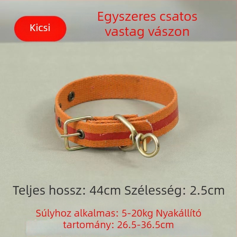 Kutyanyakörv és póráz műanyagból, ideális kicsi, közepes és nagy testű kutyáknak