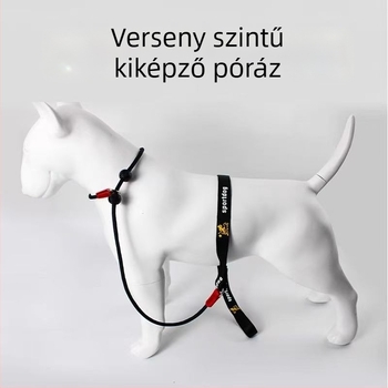 Nylon kutya edzés- és sétapánt P-lánc dizájnnal