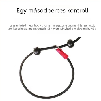 Nylon kutya edzés- és sétapánt P-lánc dizájnnal