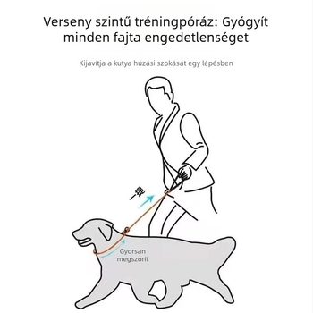 Nylon kutya edzés- és sétapánt P-lánc dizájnnal