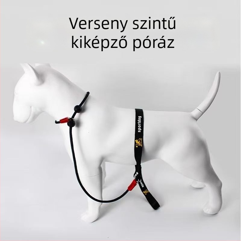 Nylon kutya edzés- és sétapánt P-lánc dizájnnal