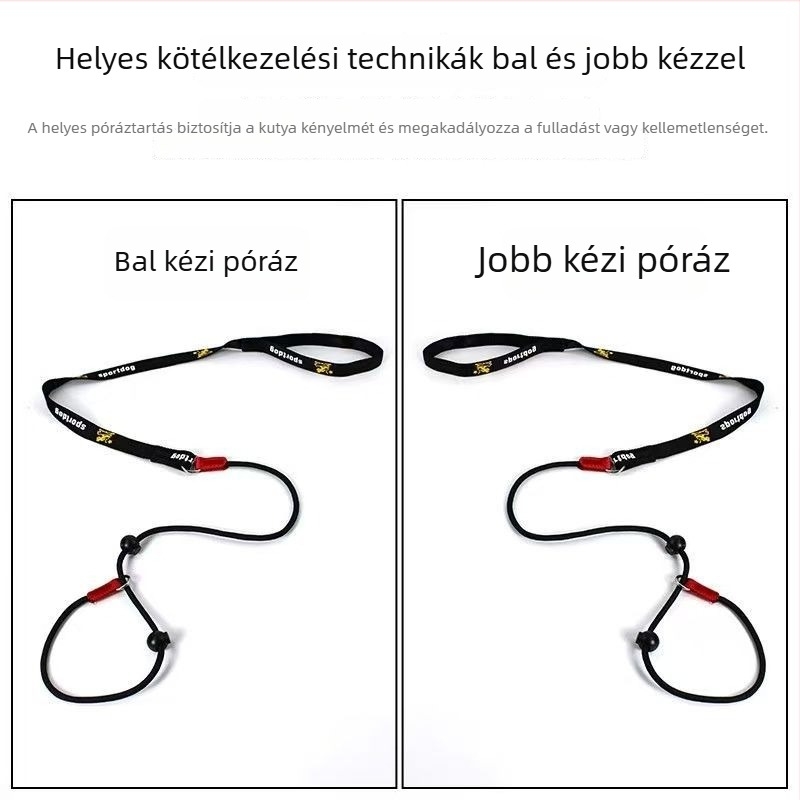 Nylon kutya edzés- és sétapánt P-lánc dizájnnal