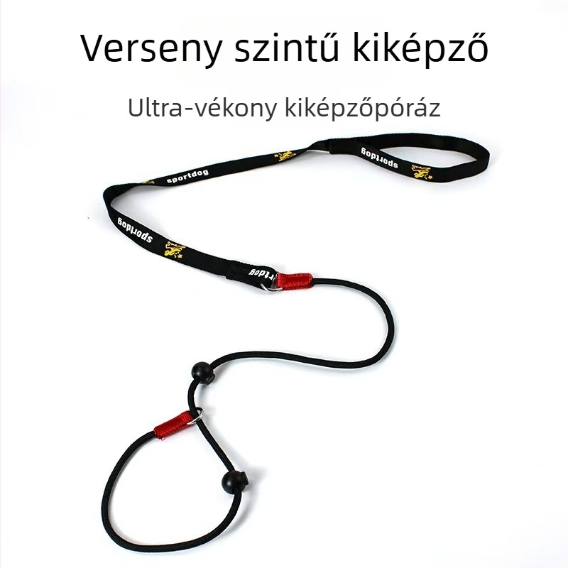 Nylon kutya edzés- és sétapánt P-lánc dizájnnal