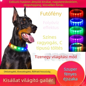USB töltő LED világító kutyanyakörv éjszakai sétákhoz