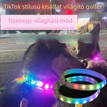USB töltő LED világító kutyanyakörv éjszakai sétákhoz