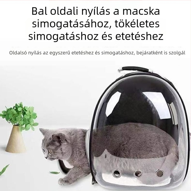Áttetsző háziállat szállító hátizsák űrkapszula dizájnnal, macska és kutya számára