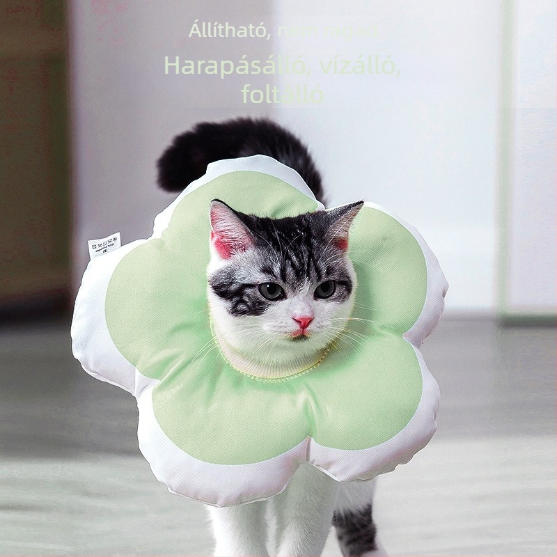 Tongbo háziállat Elizabeth-kollár – Cartoon minta, Poliészter, Univerzális, Anti nyalogatás