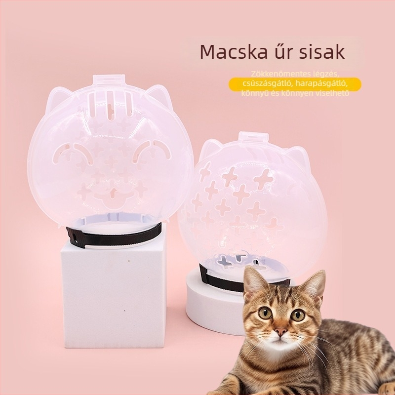 Macska fejfedő Elizabeth-kori gallérral, gömb alakú gallér, védelem nyalogatás, harapás és karcolások ellen