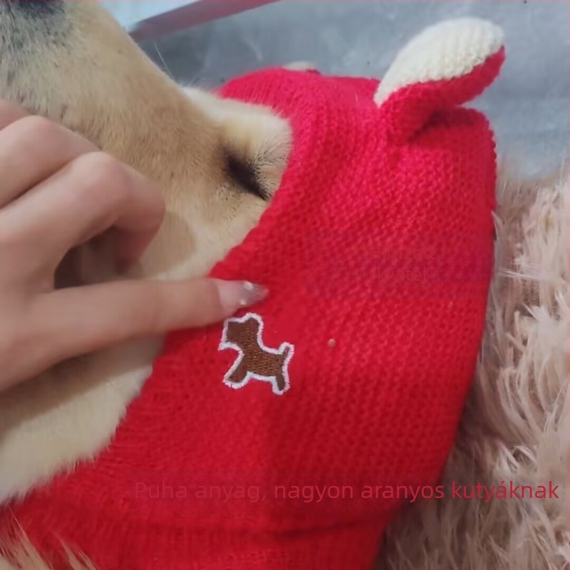 Téli kutyasapka közepes és nagy testű kutyáknak – Labrador és Golden Retriever, meleg fejfedő karácsonyra és új évre