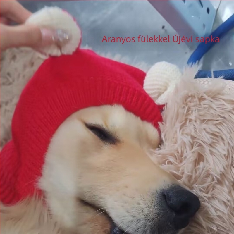 Téli kutyasapka közepes és nagy testű kutyáknak – Labrador és Golden Retriever, meleg fejfedő karácsonyra és új évre