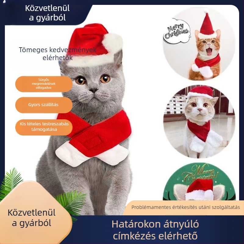 Karácsonyi sapka háziállatoknak – kutyáknak és macskáknak