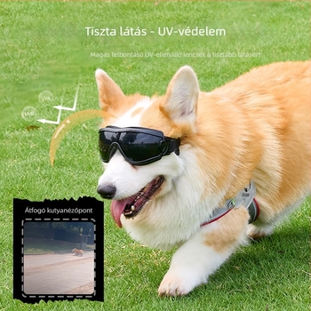 Kutyák számára UV-álló, állítható szemüveg; casual stílus; anyagok: PC, TPU és nylon szalag