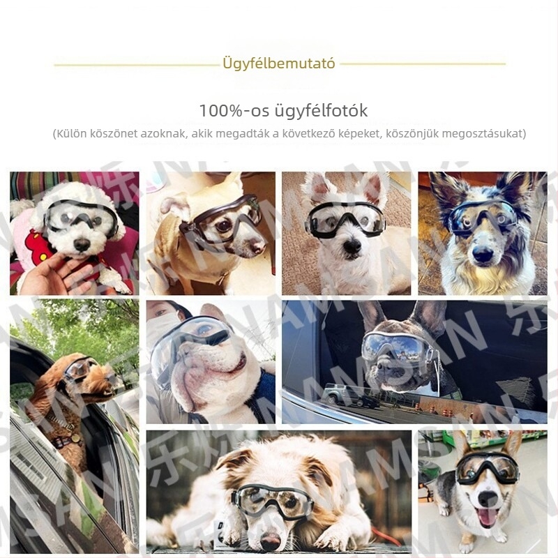Kutyavédő szemüveg polikarbonát lencsékkel, gumírozott keret, vízálló, szélálló, UV-védelem