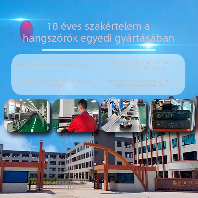 Meirui 100 Mágneses 44-gyökerű Magas Frekvenciájú Tweeter – Szórakoztatásra, KTV-hez, Konferenciákhoz és Nagytermek Hangrendszeréhez – Hangszóró-Driver Fej