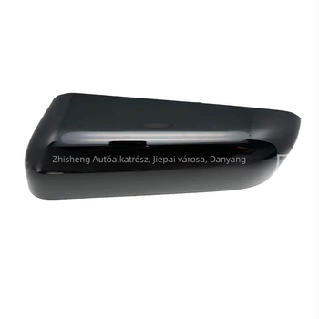 Ford F-150 Raptor (2009-2014) hátsó tükrözőfedél, ABS, kettős görbületű tükör