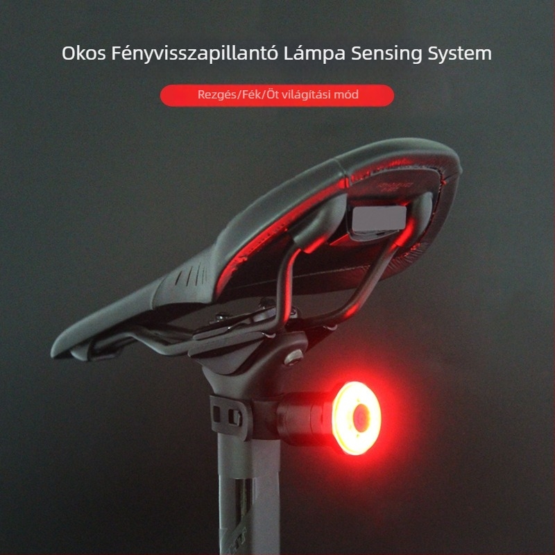 Kerékpár hátsó lámpa intelligens szenzorral, USB-töltéssel, vízálló, PC-ház, út- és MTB-kompatibilis