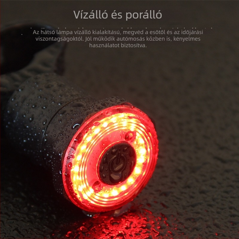 Kerékpár hátsó lámpa intelligens szenzorral, USB-töltéssel, vízálló, PC-ház, út- és MTB-kompatibilis