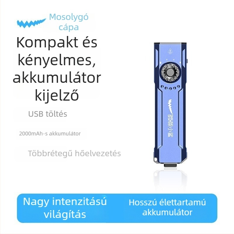 Taktikai tollfény – Multifunkcionális (alumíniumötvözet; LED; 2000 mAh; Újratölthető; hatótáv 50–100 m)