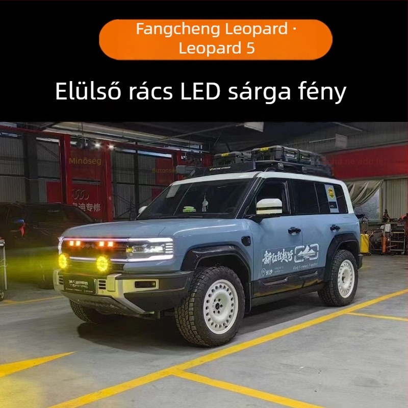 Equation Leopard 5-höz készült füstlámpa-modifikátor, 12V, Tengzhen Lighting, testreszabott feldolgozás