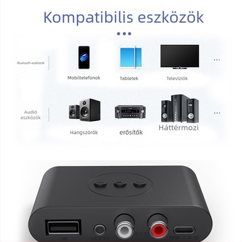 NFC Bluetooth autóhifi vevő, 3,5 mm AUX és USB zenelejátszáshoz, modell B21, Bluetooth 5.3