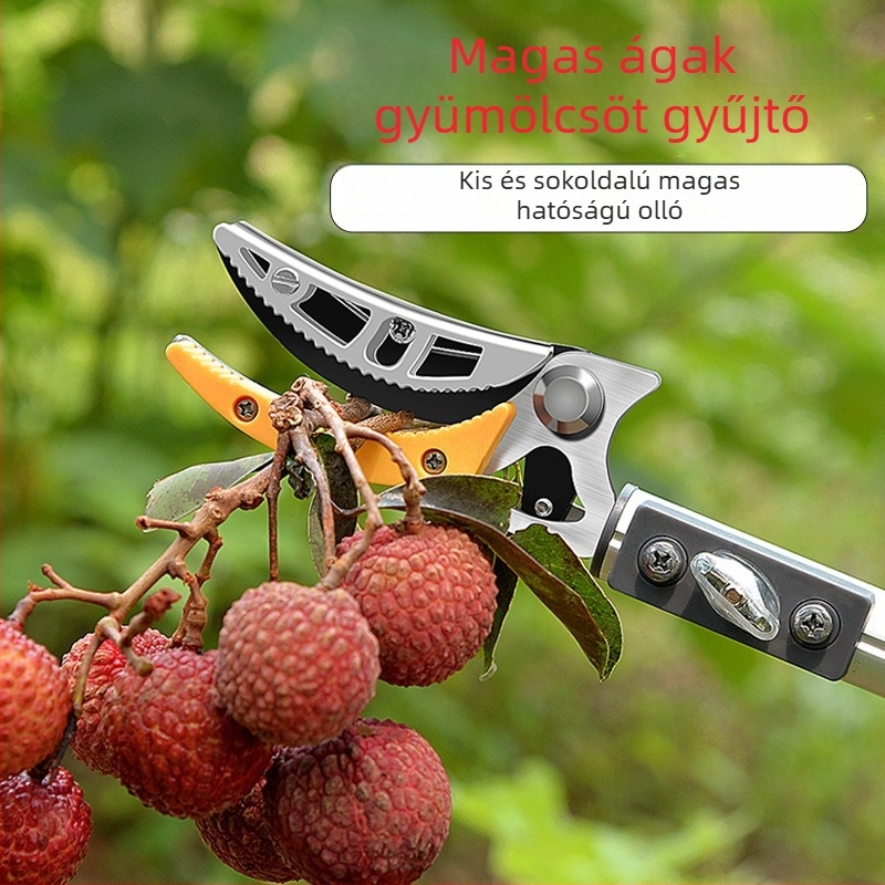 Teleszkópos gyümölcsszedő olló kiterjesztett elérhetőséggel a magas ágakhoz; MYTEC; alkalmas lychee, loquat és longan