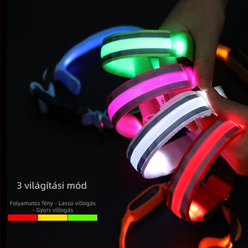 Anti-lost LED világító kutyanyakörv, éjszakai sétákhoz, USB töltésű, fényvisszaverő anyaggal.