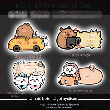 Autómatrica mágneses telepítéssel, reflexiós felület, napvédelem és karcolás elleni védelem — karikatúra minta