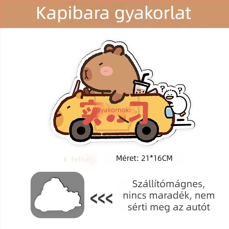 Autómatrica mágneses telepítéssel, reflexiós felület, napvédelem és karcolás elleni védelem — karikatúra minta