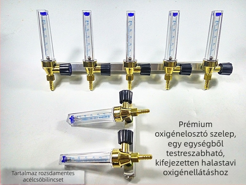 Oxigénellátás szabályozó szelep áramlásmérővel és argon szeleppel — szétszerelési eszközök készlet, opciók 1–12, otthoni használatra